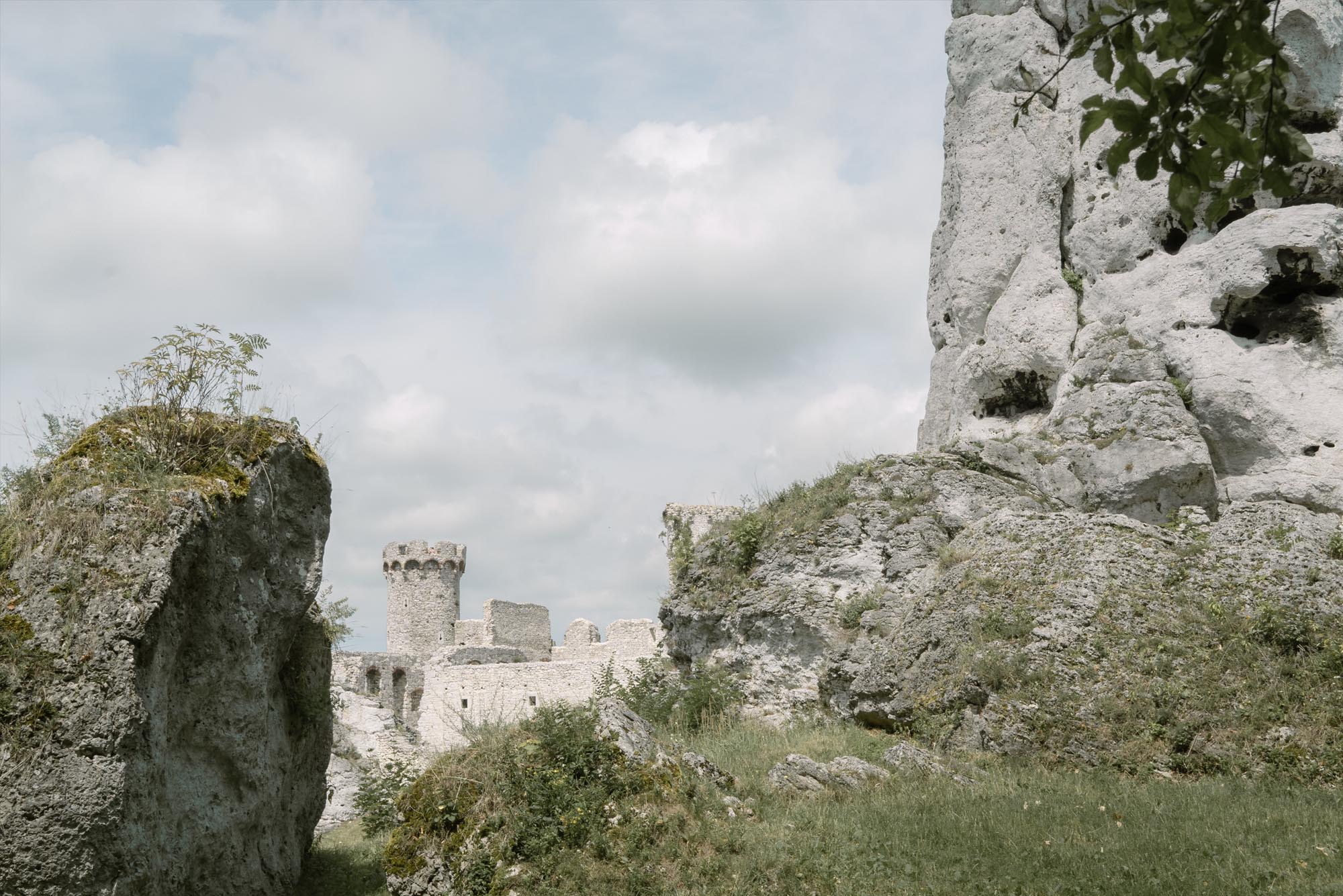 Szlak Orlich Gniazd - Jura Krakowsko-Częstochowska