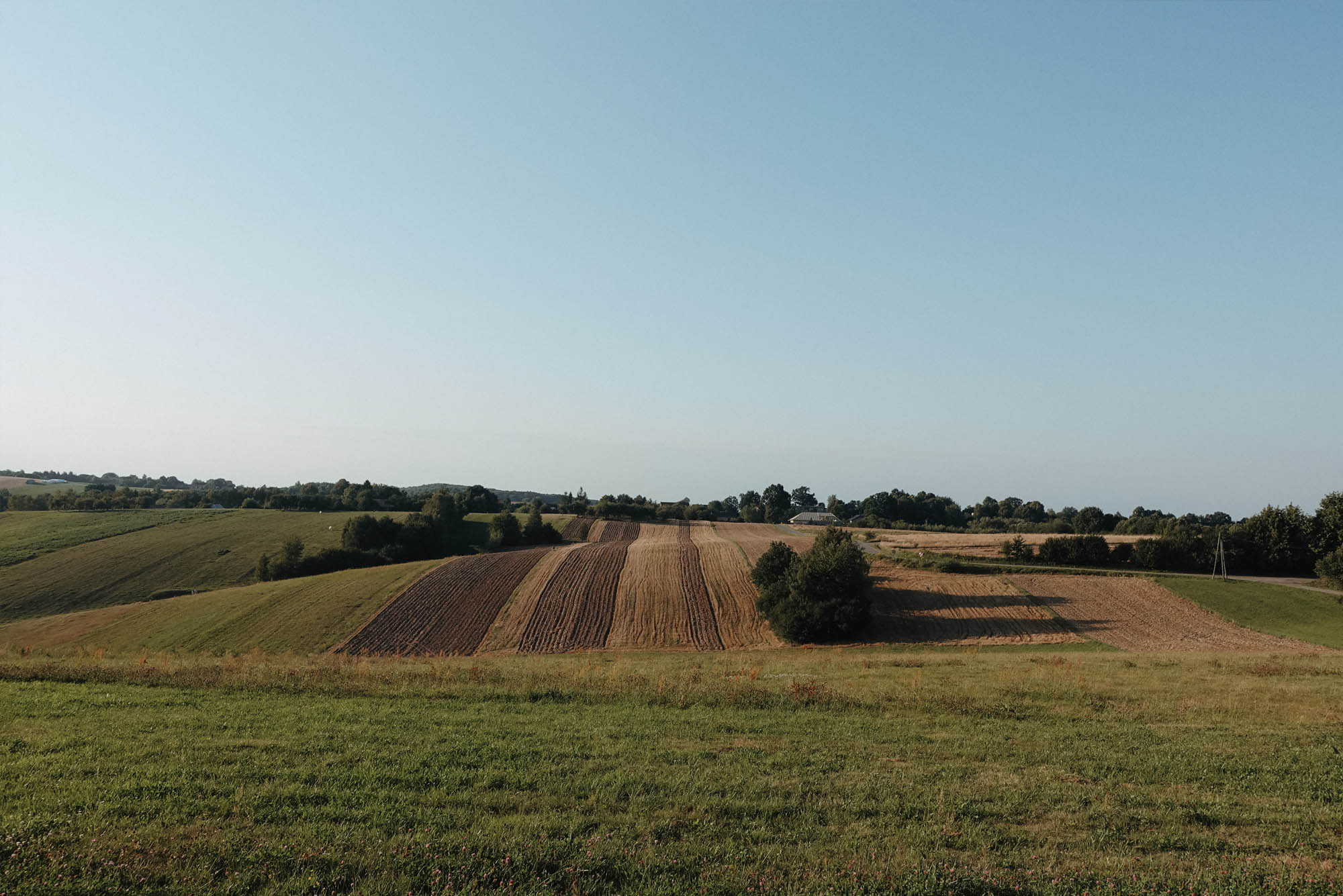 Szlak Orlich Gniazd - Jura Krakowsko-Częstochowska
